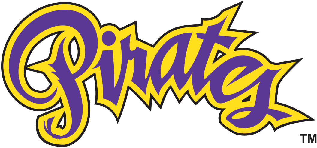 East Carolina Pirates 1999-2013 Wordmark Logo t shirts DIY iron ons v4